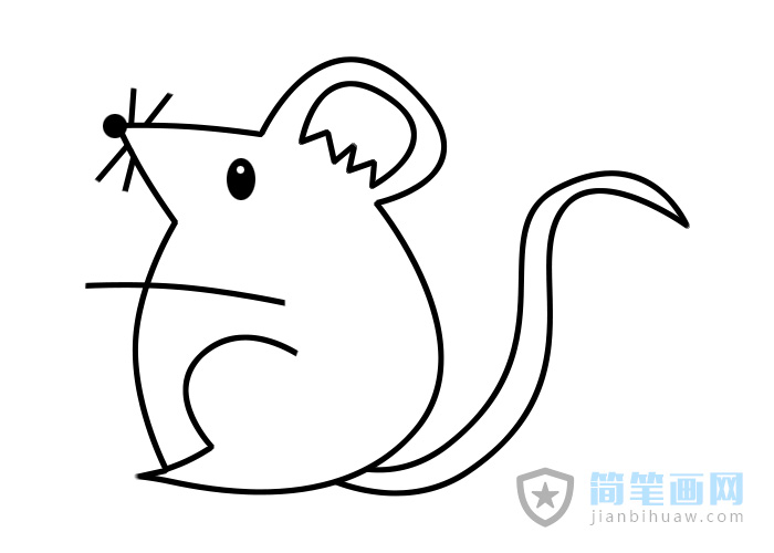 老鼠簡(jiǎn)筆畫(huà)的畫(huà)法步驟及上色圖片